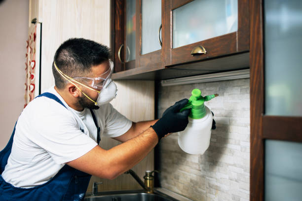Best Affordable Pest Control Services  in Box Elder, SD