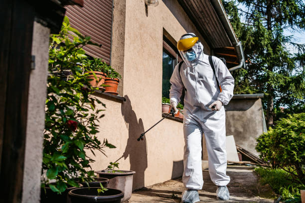 Best Residential Pest Control  in Box Elder, SD