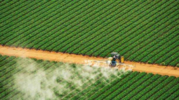 Best Termite Control Services  in Box Elder, SD