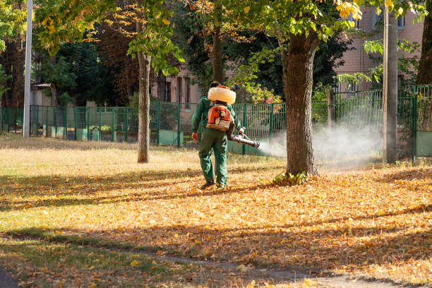 Box Elder, SD Pest Control Company