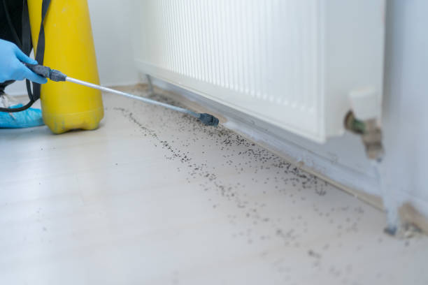 Best Pest Prevention Services  in Box Elder, SD